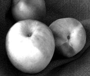 Gray Scale Apple and Peach